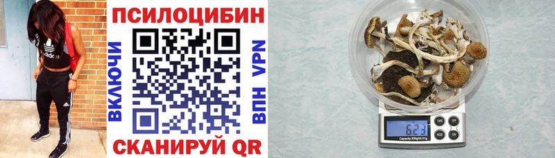Галлюциногенные грибы Psilocybine cubensis  Семикаракорск 